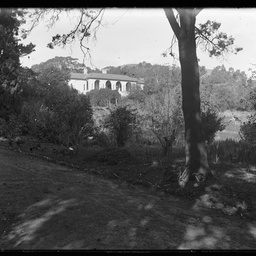 Collection of photographs taken around Adelaide by Theo Bachmann