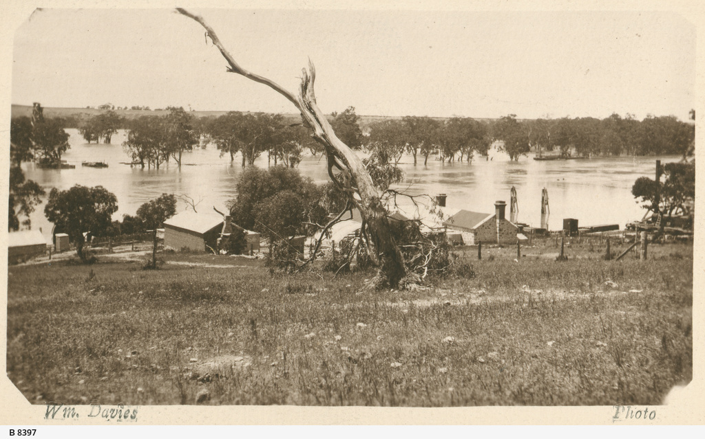 Blanchetown • Photograph • State Library of South Australia