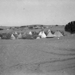 Dessert camp.