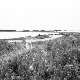View of The Coorong in the bay below 9 mile point