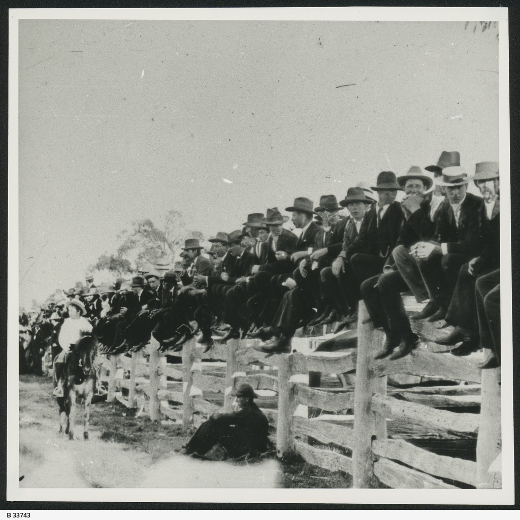 Penola Show, Penola • Photograph • State Library of South Australia