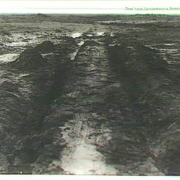 Birdsville Track