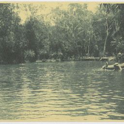 Colin James Ellis, World War II photograph album, Darwin.
