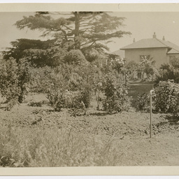 Mount William Station, Victoria