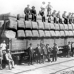 Victorian rail truck loaded with wool bales at Echuca