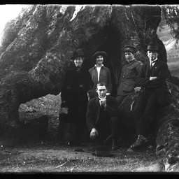 Collection of photographs taken around Adelaide by Theo Bachmann