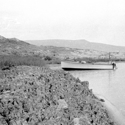 Mud pushed up by sand drift at Younghusband Peninsula