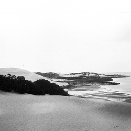 View showing sand drift on Younghusband Peninsula, The Coorong