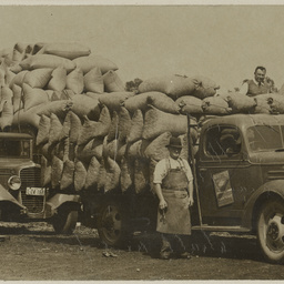 Staff, premises and activities of G. Wood, Son & Co