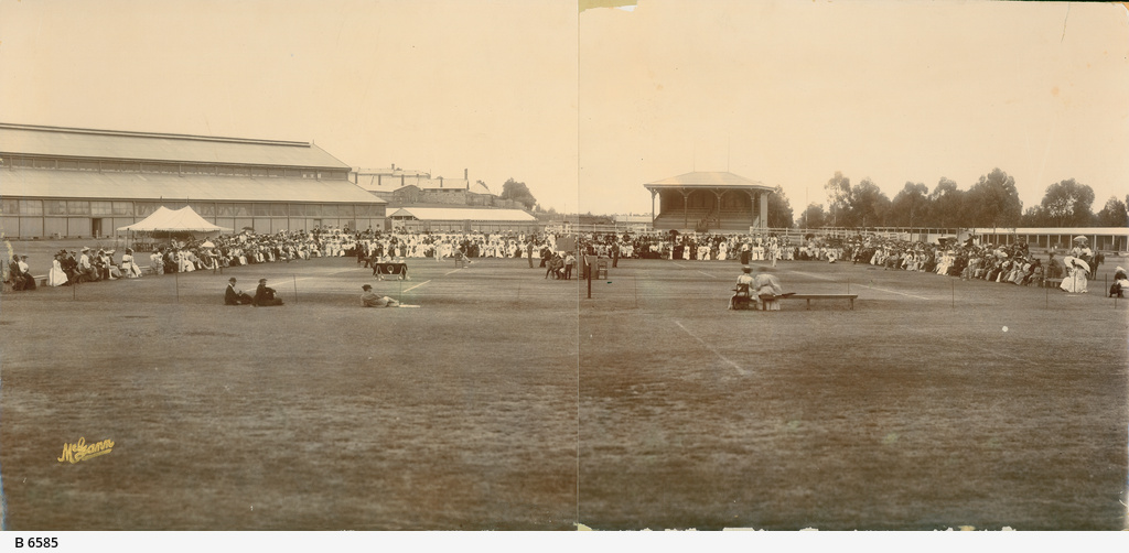 Jubilee Oval • Photograph • State Library of South Australia