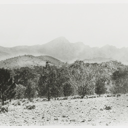 Selected photos taken by Henry Hammond Tilbrook