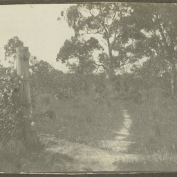 The Wild Part of Wittunga farm