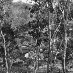 Gorge Road