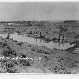 General view of Tonkins Well