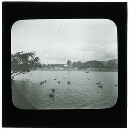 Development of Adelaide 1839-1914: series of lantern slides.