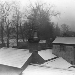 Trees and houses