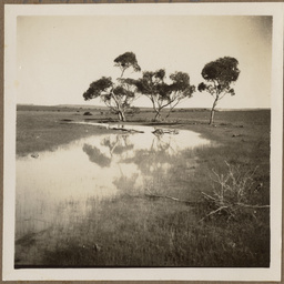 'On the Golf Course'.