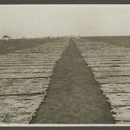 Bamboo runway.