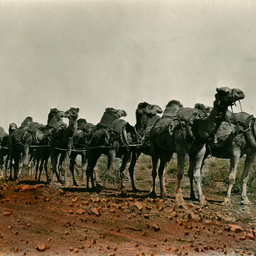 First passenger journey Port Augusta to Kalgoorlie : Plough team