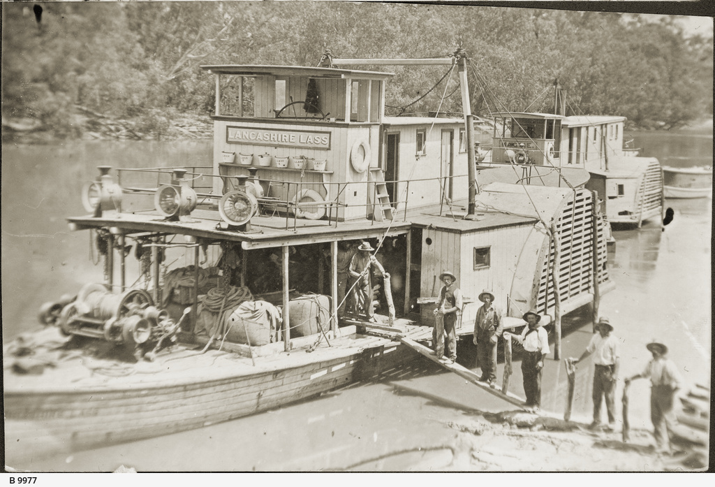 River steamers on the Murray • Photograph • State Library of South