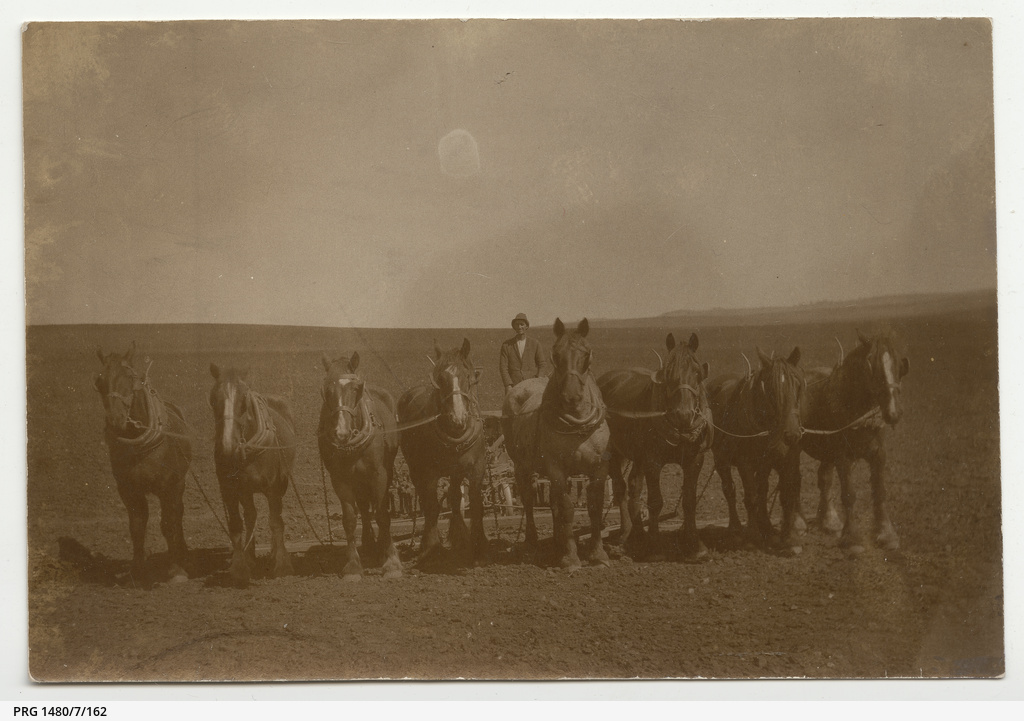Cowell and Franklin Harbour, Eyre Peninsula • Photograph • State Library of South Australia