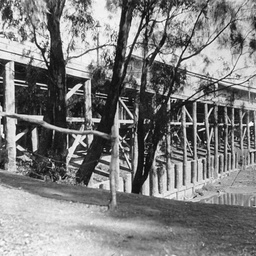 Early view of Echuca Wharf showing its wooden construction