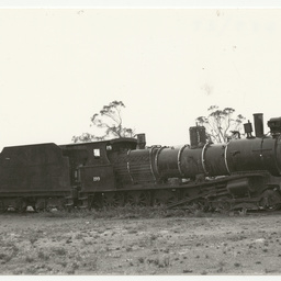 Photographs relating to Messenger Press : trains