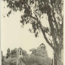 Saint Matthew's Anglican Church - Kensington