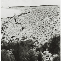 Selected photos taken by Henry Hammond Tilbrook