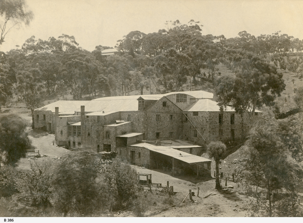 Coromandel Valley • Photograph • State Library of South Australia