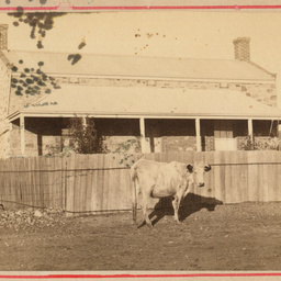 Mrs Searle's, Redhill