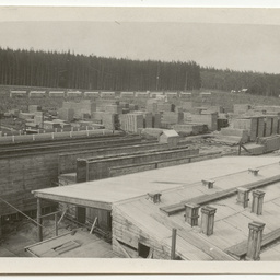 Views of pine plantation and saw mill