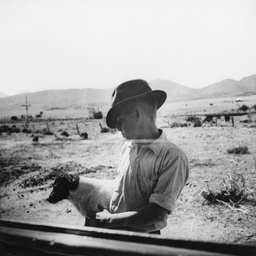 Man and dog, Mernmerna