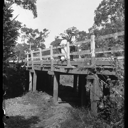 Collection of photographs taken around Adelaide by Theo Bachmann