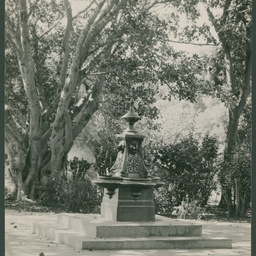 Drinking fountain in Botanic Gardens