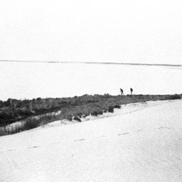 Huge sand drift on Younghusband Peninsula