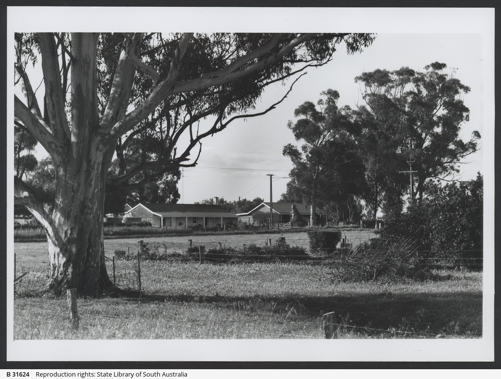 Farrell Flat • Photograph • State Library of South Australia