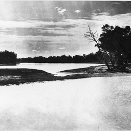 View of natural scenery across the water at Cobdogla