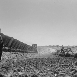 Happy Valley Reservoir : Main embankment