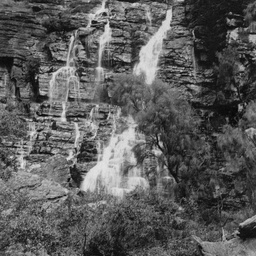 Views of SA, WA, Vic & NSW : Fall, Morialta