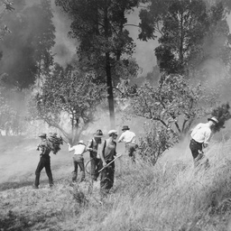 Bushfires in the Adelaide Hills