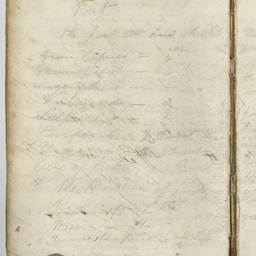 Log book of John White