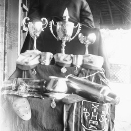 Trophies