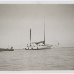 Colin James Ellis, World War II photograph album, Darwin.