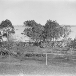 Bush scene
