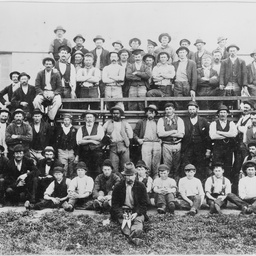 Shearers at Mount Schank