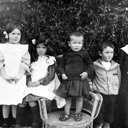 Members of the Groper family from Eucla