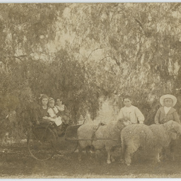 Photographs of the Bailey and Chitty families at Yardea Station