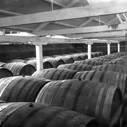 A cellar stacked with barrels of wine