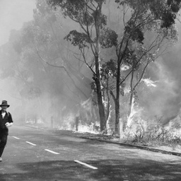 Bushfires in the Adelaide Hills